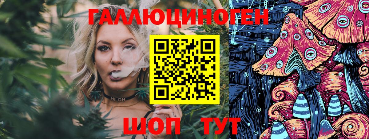 Псилоцибиновые грибы Psilocybine cubensis  Вход с VPN  Псилоцибиновые грибы Psilocybe  Дубна 