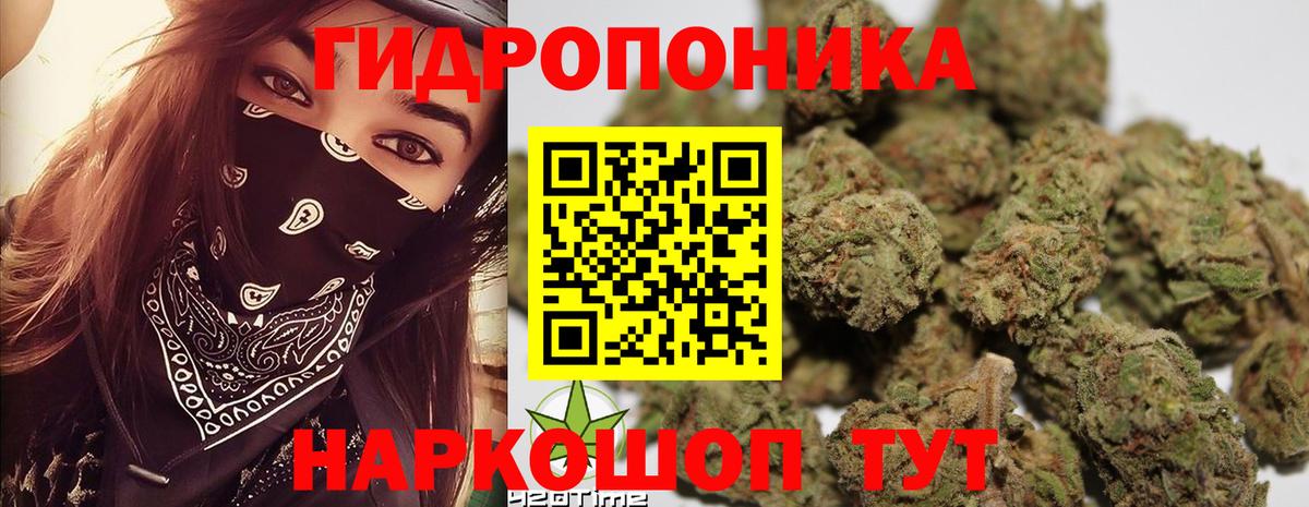 МЕФ Дубна